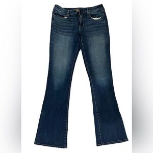 American Eagle Jeans Size 12XL